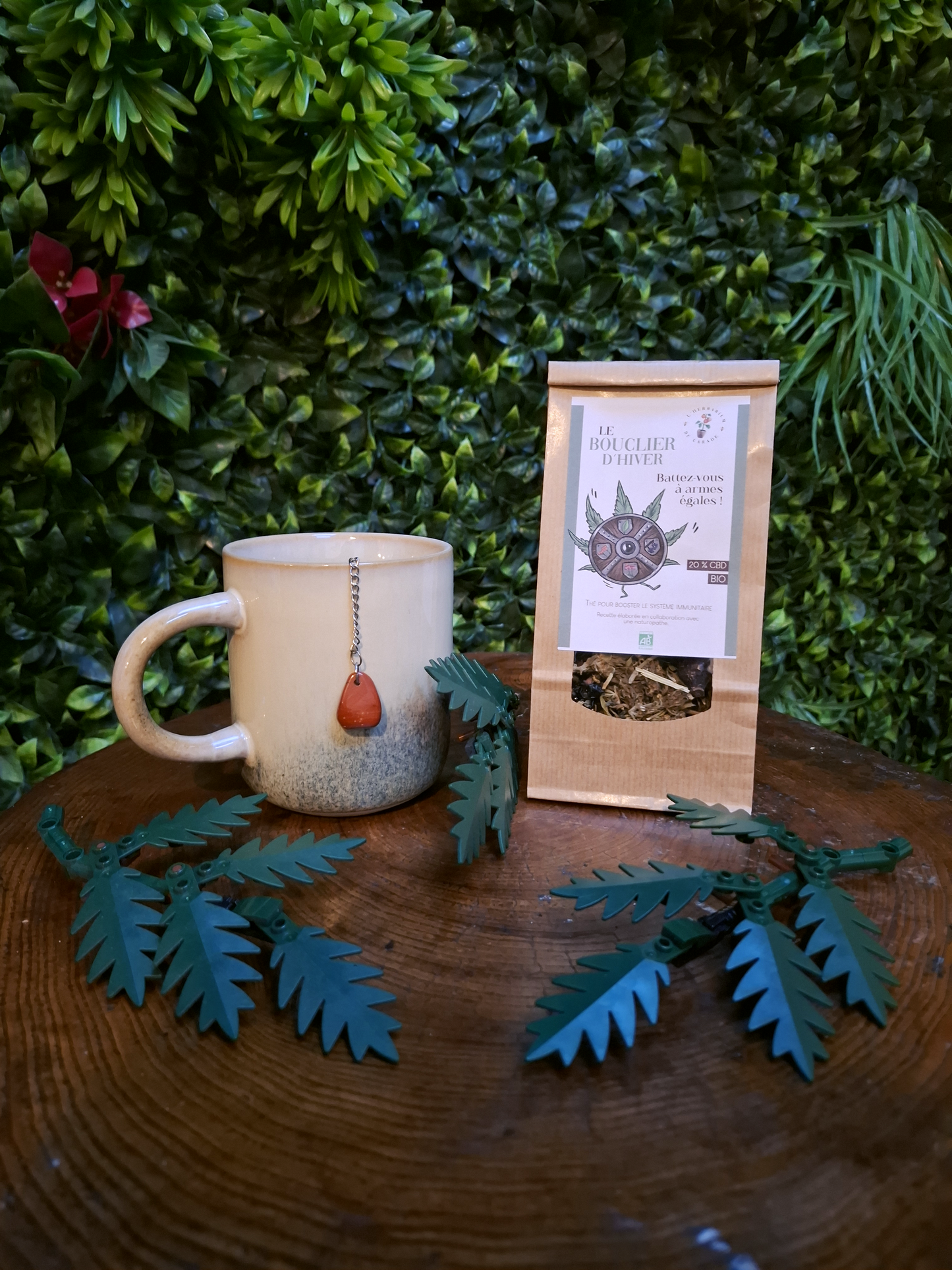 Thé Bouclier d'hiver CBD Shop The Garden Bio