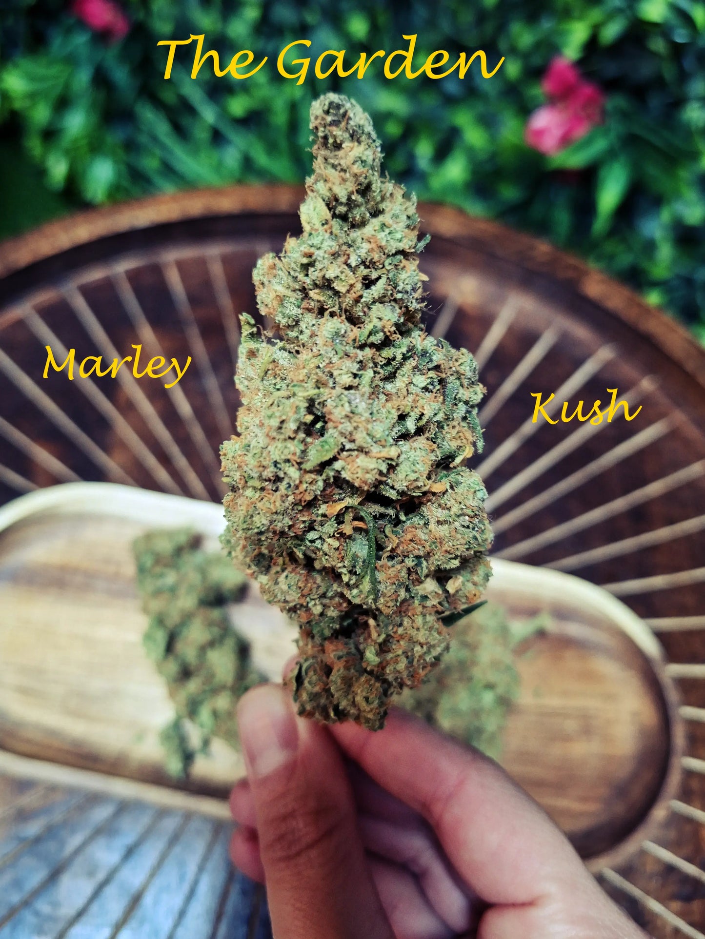 Marley Kush CBD Shop The Garden Bio