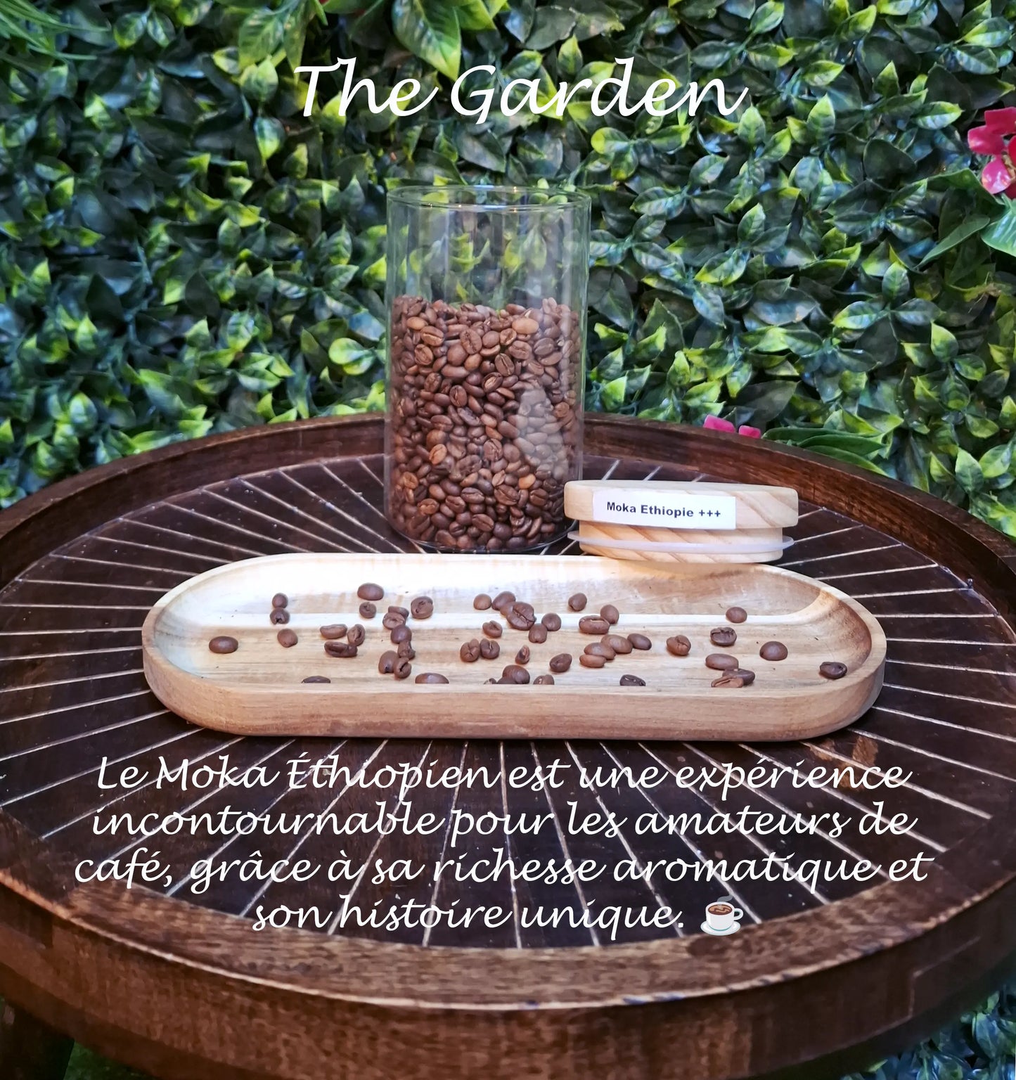Café Moka ethipie CBD Shop The Garden Bio