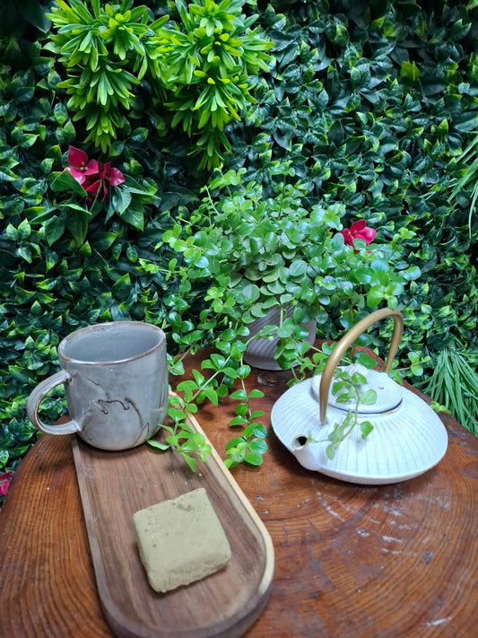 Aya Formule spécial CBD Shop The Garden Bio