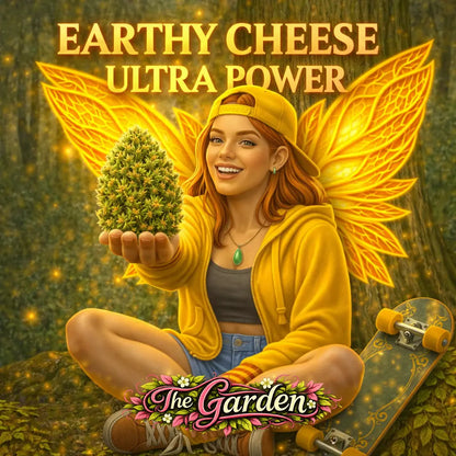 Earthy cheese Ultra Power CBD Shop The Garden Bio