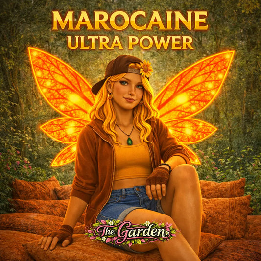 Marocain Ultra Power CBD Shop The Garden Bio